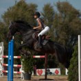 /album/galerie-de-photos-blog/a2010-06-13-pre-danseur-cso-lucon-haras-des-guifettes-1855-jpg/